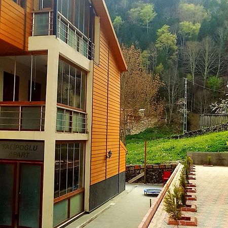 Talipoglu Apart Aparthotel Uzungöl Exterior photo