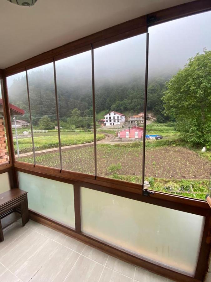 Talipoglu Apart Aparthotel Uzungöl Exterior photo