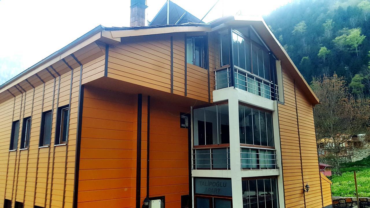 Talipoglu Apart Aparthotel Uzungöl Exterior photo