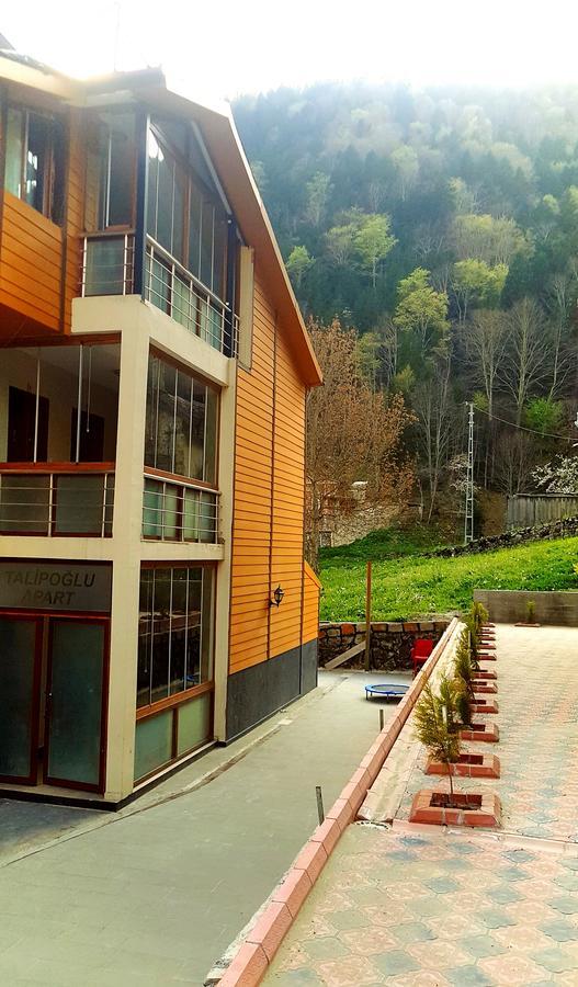 Talipoglu Apart Aparthotel Uzungöl Exterior photo