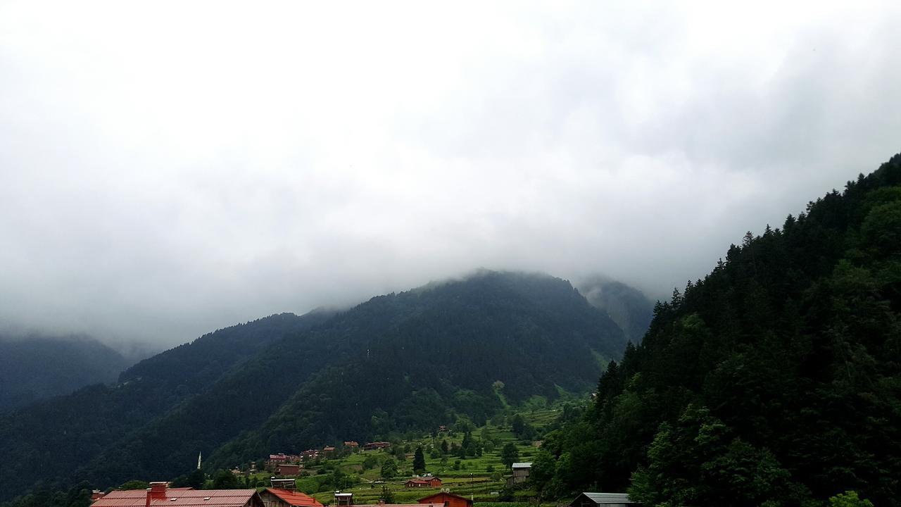 Talipoglu Apart Aparthotel Uzungöl Exterior photo